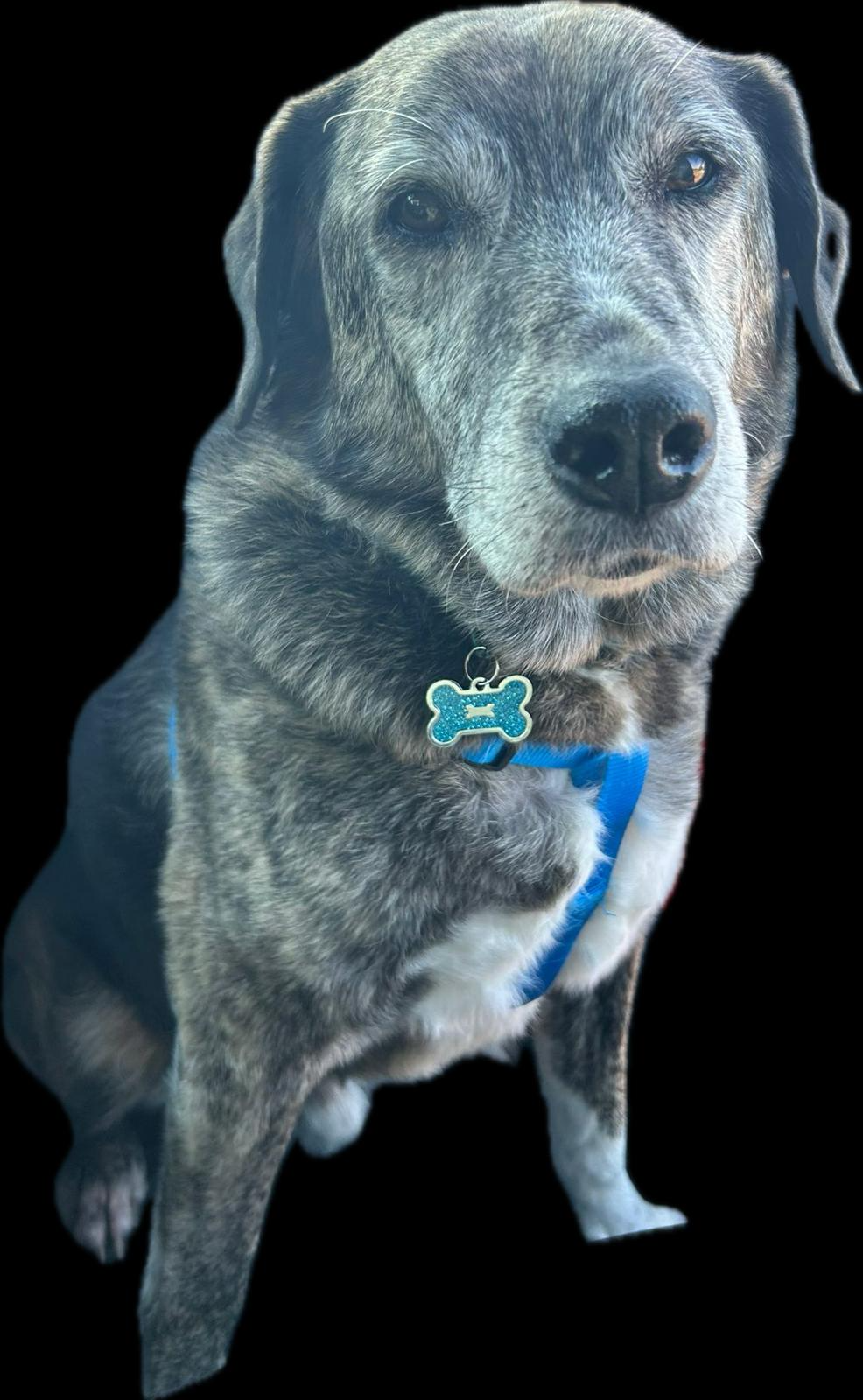 Jarbas